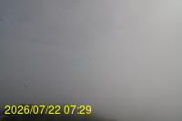 Img20260722_072942.jpg