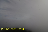 Img20260722_073442.jpg