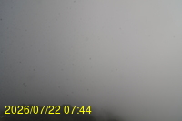 Img20260722_074442.jpg