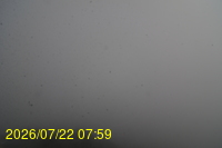 Img20260722_075942.jpg