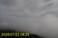 Img20260722_082942.jpg
