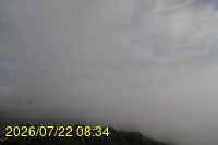Img20260722_083442.jpg