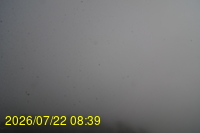 Img20260722_083942.jpg