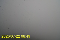 Img20260722_084942.jpg