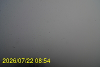 Img20260722_085442.jpg