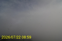 Img20260722_085942.jpg