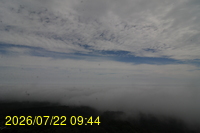 Img20260722_094442.jpg
