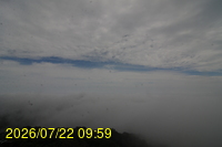 Img20260722_095942.jpg