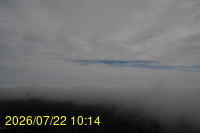 Img20260722_101442.jpg
