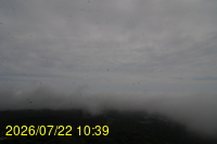Img20260722_103942.jpg