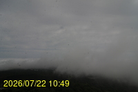 Img20260722_104942.jpg