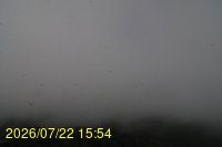 Img20260722_155443.jpg