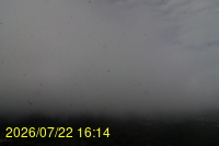 Img20260722_161443.jpg