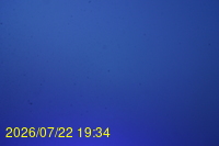 Img20260722_193444.jpg