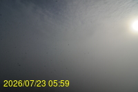 Img20260723_055946.jpg