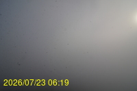 Img20260723_061946.jpg