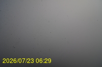 Img20260723_062946.jpg