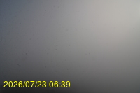 Img20260723_063946.jpg