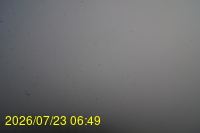 Img20260723_064946.jpg