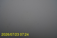 Img20260723_072446.jpg