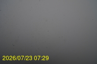 Img20260723_072946.jpg