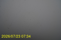 Img20260723_073446.jpg