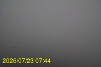 Img20260723_074446.jpg