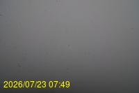 Img20260723_074946.jpg