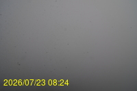 Img20260723_082446.jpg