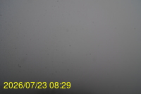 Img20260723_082946.jpg