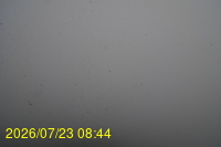 Img20260723_084446.jpg