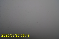 Img20260723_084946.jpg