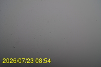 Img20260723_085446.jpg