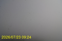 Img20260723_092446.jpg