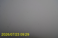 Img20260723_092946.jpg