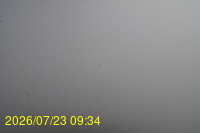 Img20260723_093446.jpg