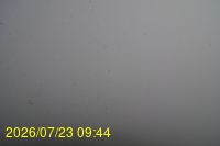 Img20260723_094446.jpg