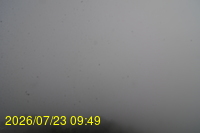 Img20260723_094946.jpg