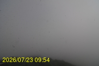 Img20260723_095446.jpg