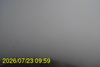Img20260723_095946.jpg