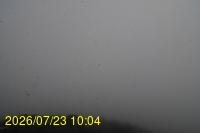 Img20260723_100446.jpg