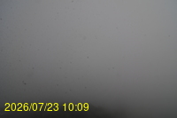 Img20260723_100946.jpg