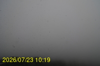 Img20260723_101946.jpg
