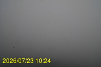 Img20260723_102446.jpg