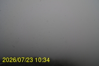 Img20260723_103446.jpg