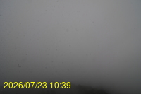 Img20260723_103946.jpg