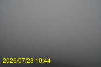 Img20260723_104446.jpg