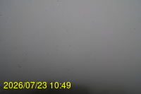 Img20260723_104946.jpg
