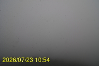 Img20260723_105446.jpg