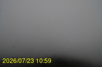 Img20260723_105946.jpg